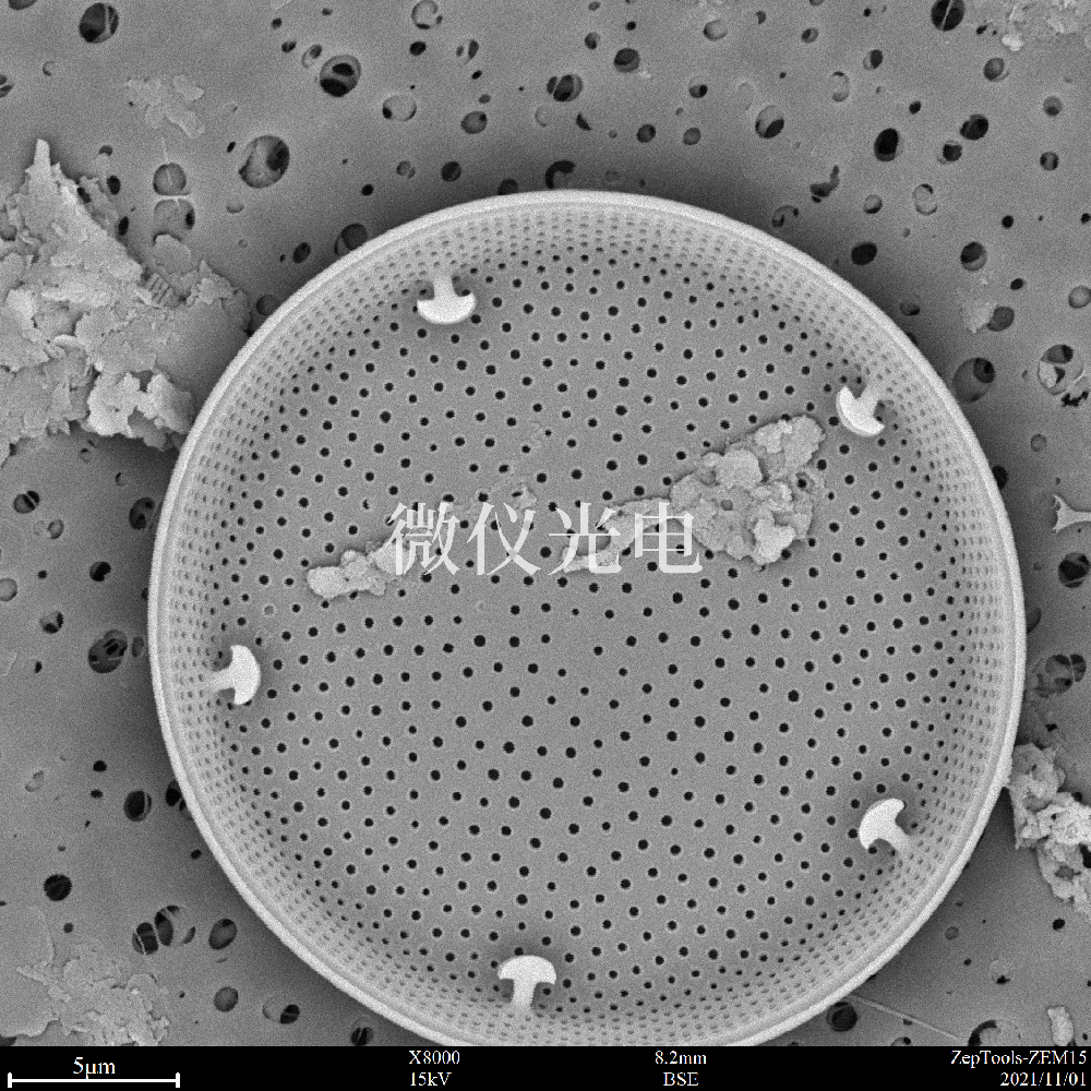 臺式掃描電鏡觀察樣品要求的干燥的方法有幾種？