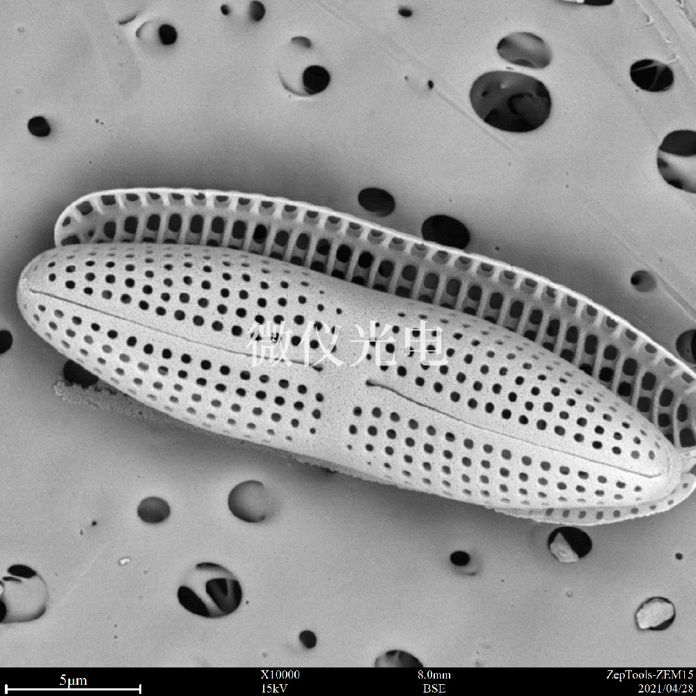 sem臺式掃描電鏡在司法鑒定行業(yè)的應(yīng)用是這樣的，你之前了解嗎？