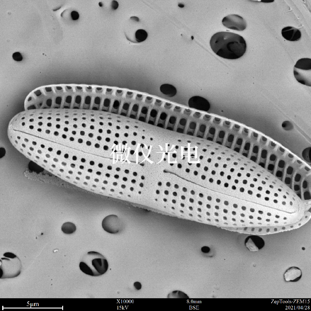 掃描電子顯微鏡的類型有這些你之前了解過嗎？